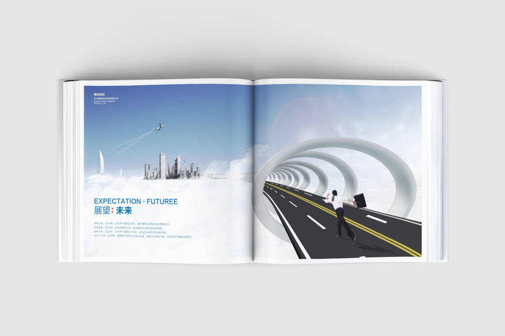 阿荣旗画册设计